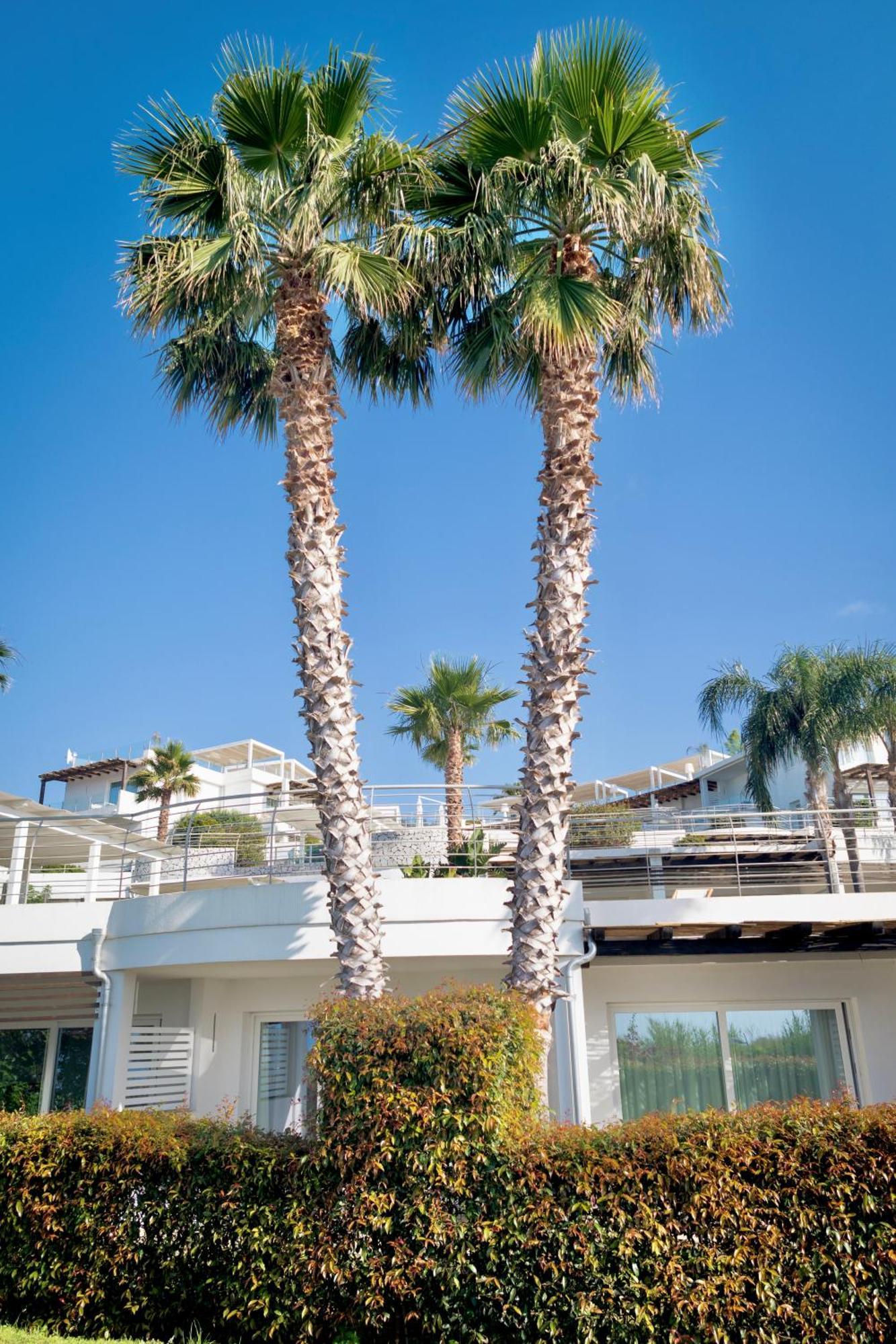 Infinity Resort Tropea Parghelia Eksteriør billede